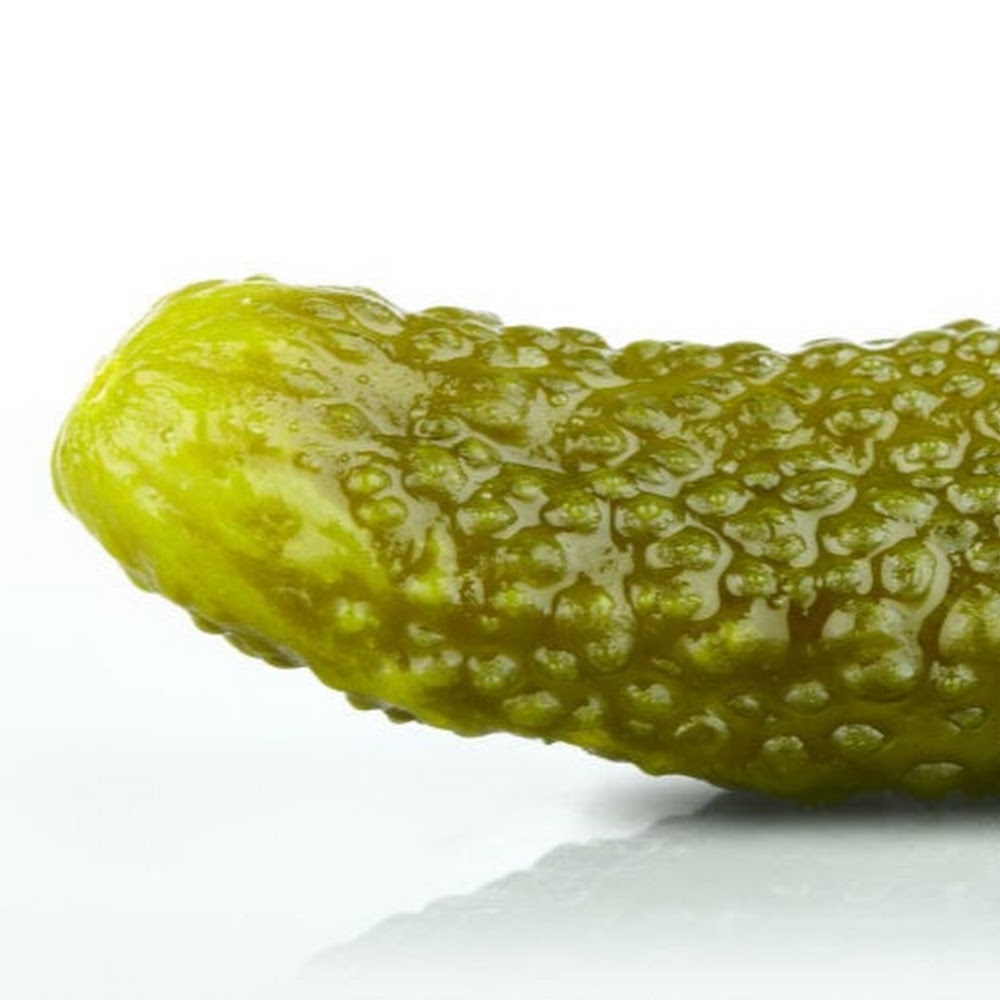 Meet your Posher, Delaney